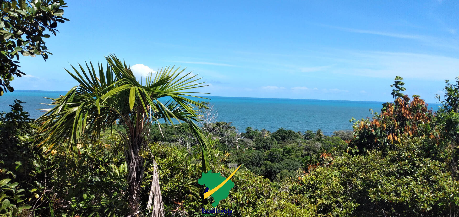 Terreno, 60 hectares - Foto 6