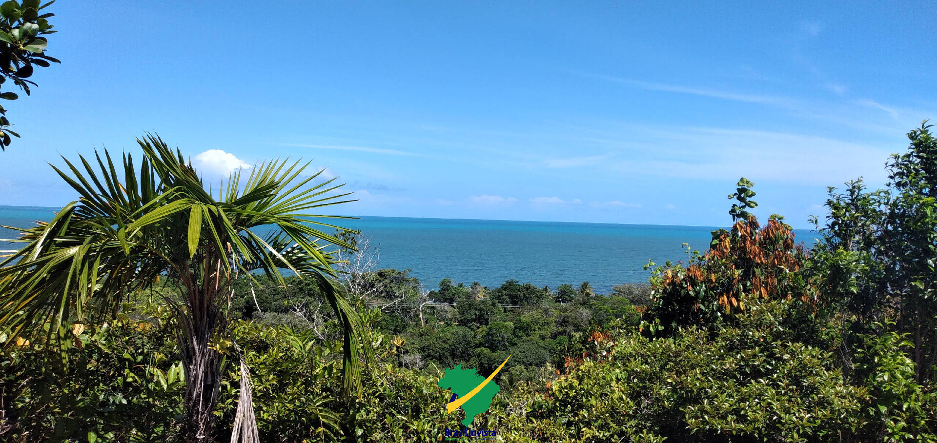 Terreno, 60 hectares - Foto 10