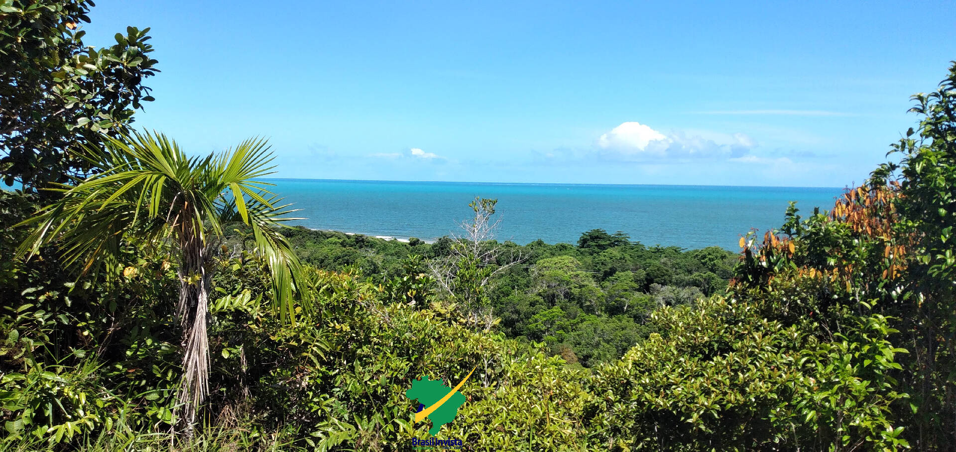 Terreno, 60 hectares - Foto 11