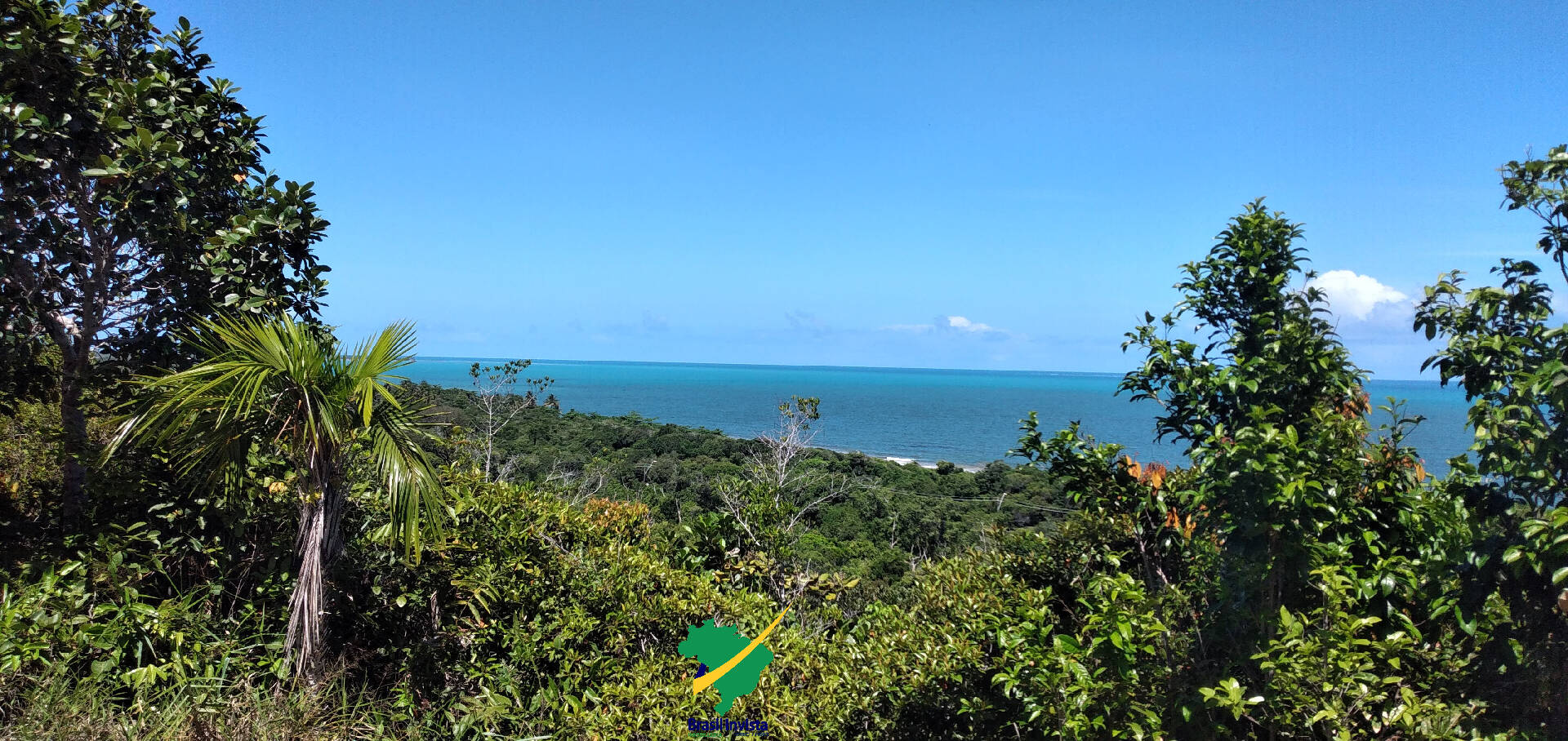 Terreno, 60 hectares - Foto 12