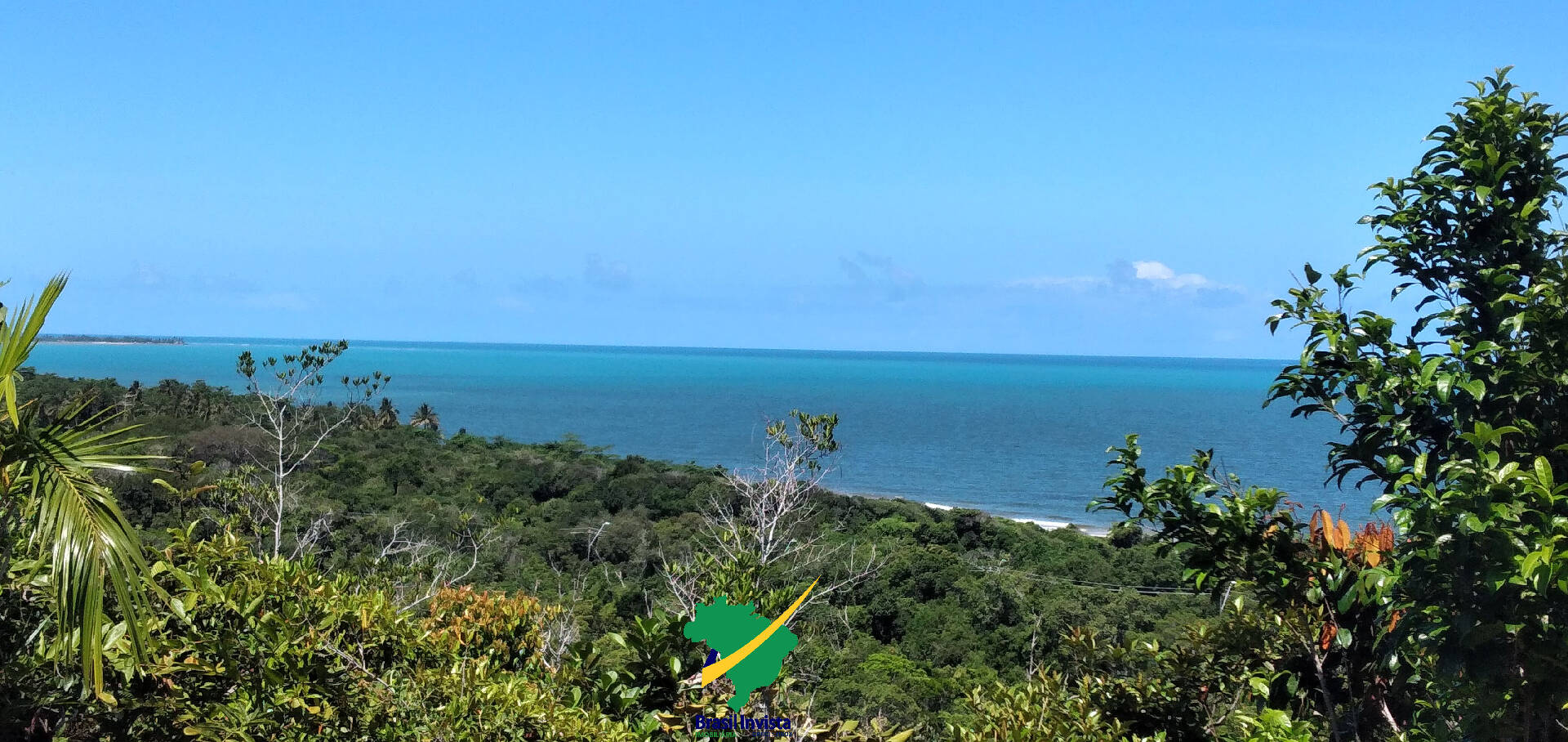 Terreno, 60 hectares - Foto 13