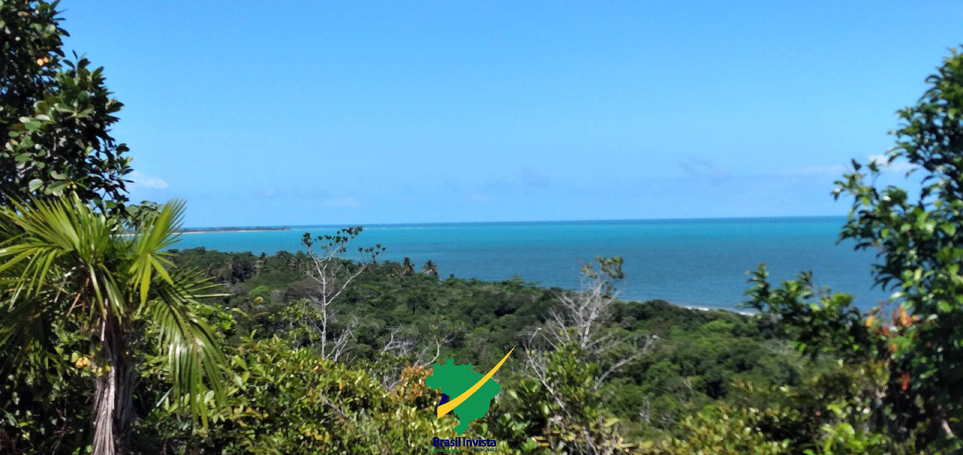 Terreno, 60 hectares - Foto 16