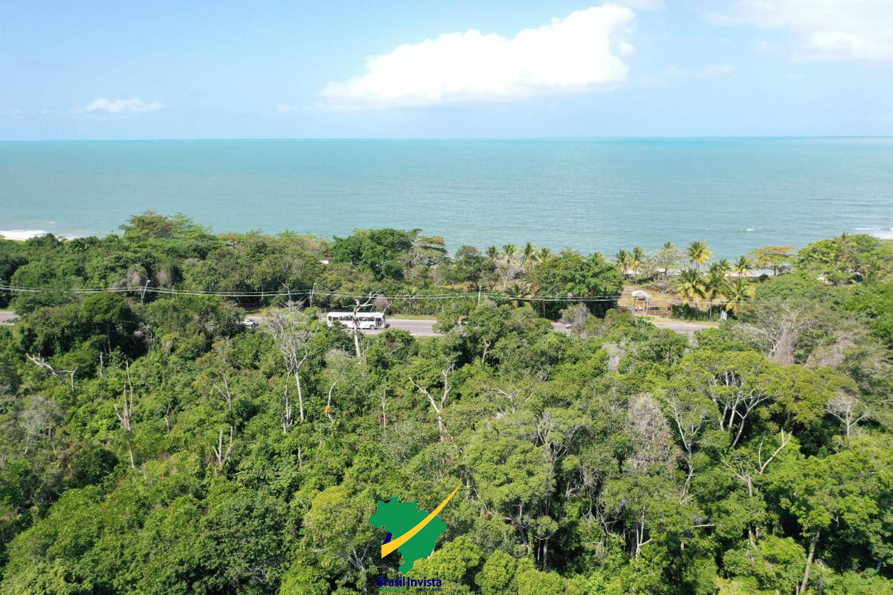 Terreno, 60 hectares - Foto 17