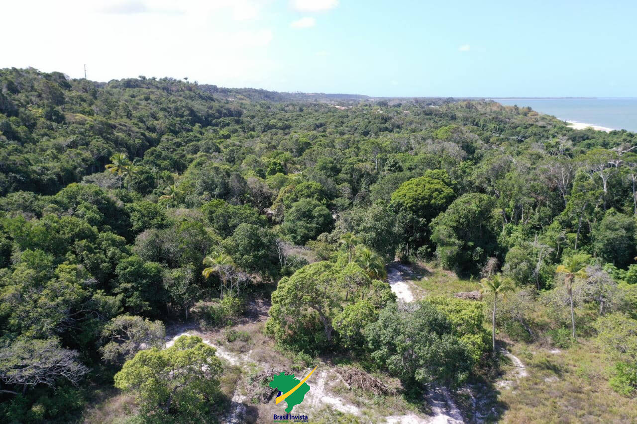 Terreno, 60 hectares - Foto 19