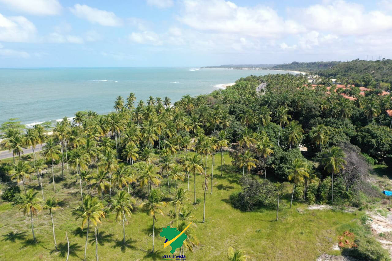 Terreno, 60 hectares - Foto 14