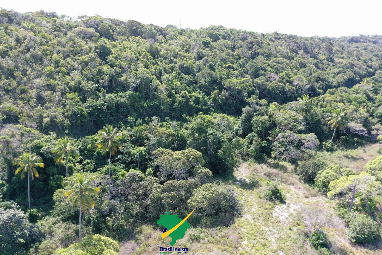 Terreno, 60 hectares - Foto 22