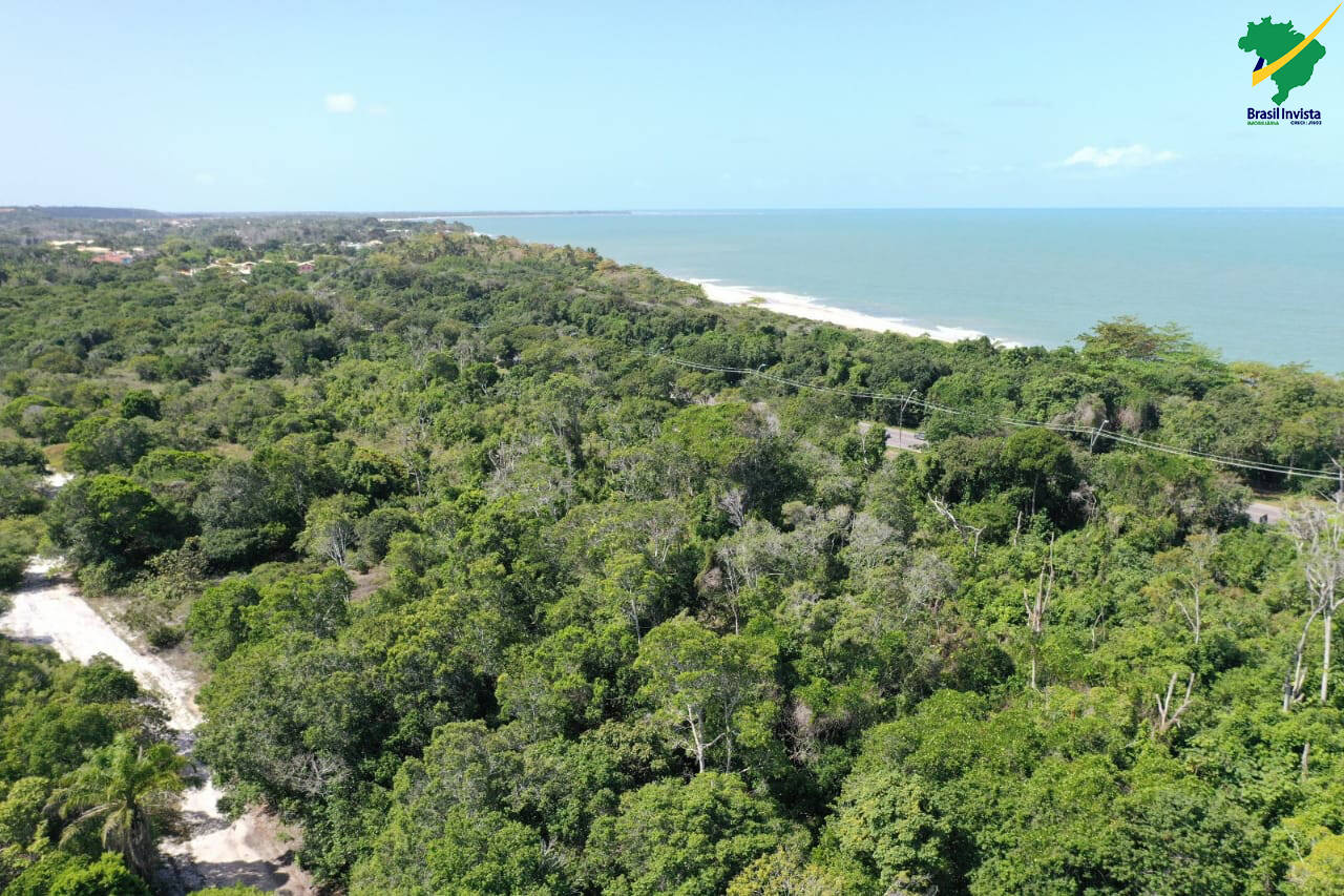 Terreno, 60 hectares - Foto 23