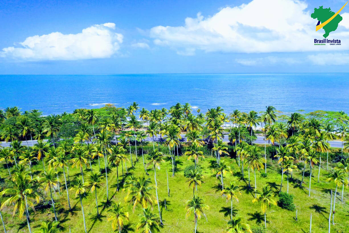 Terreno, 60 hectares - Foto 1