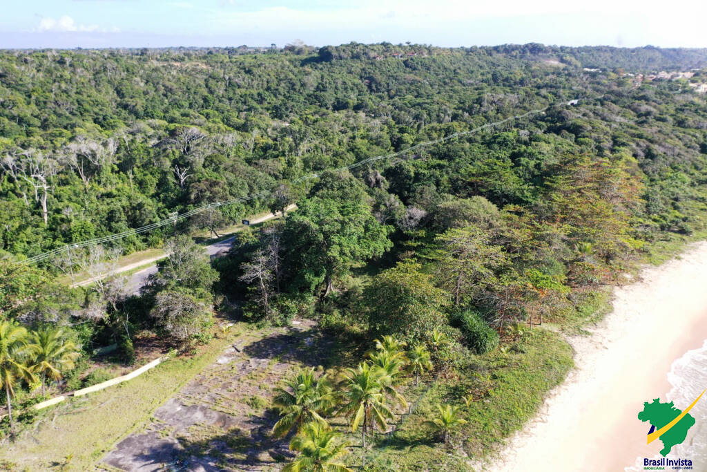 Terreno, 60 hectares - Foto 26