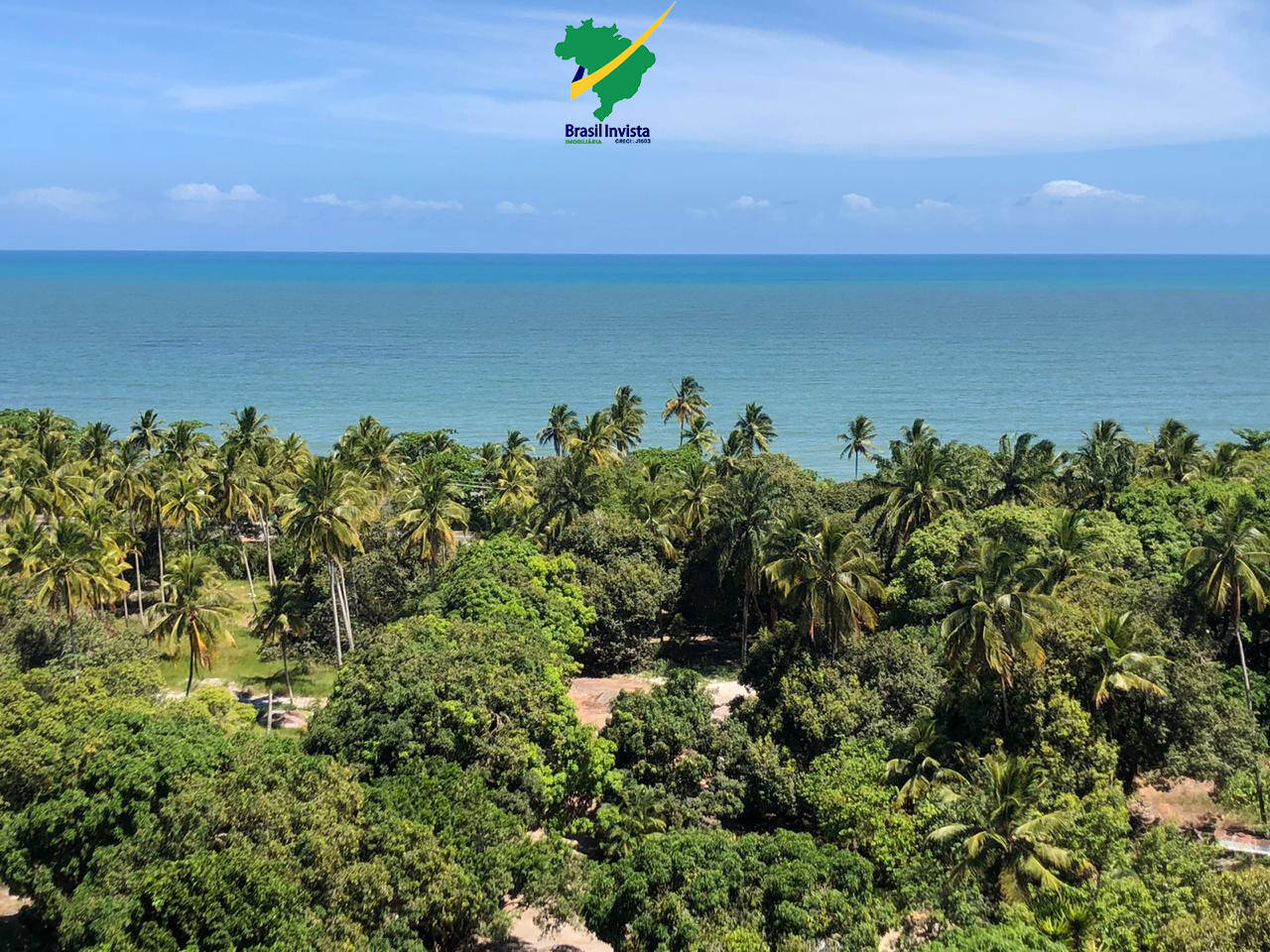 Terreno, 60 hectares - Foto 29