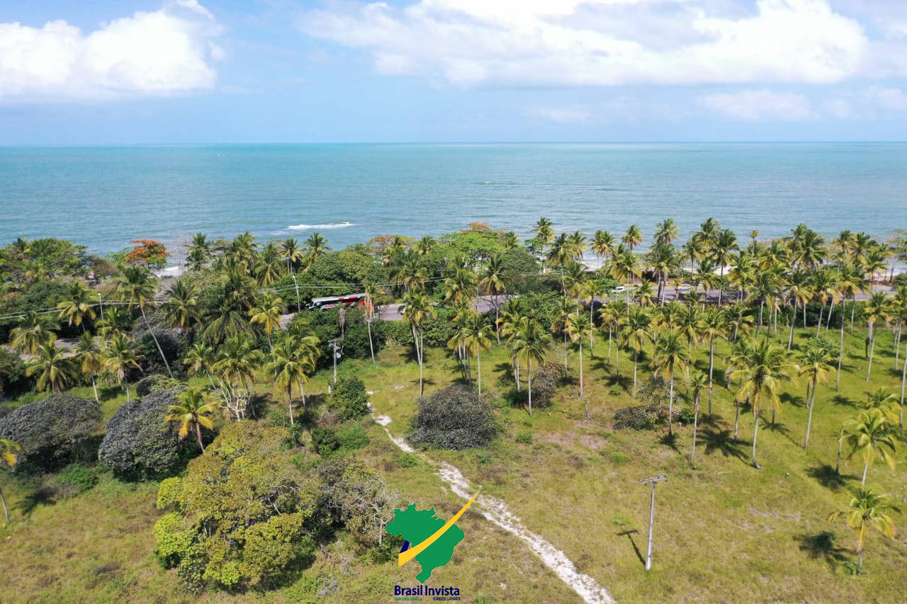 Terreno, 60 hectares - Foto 30