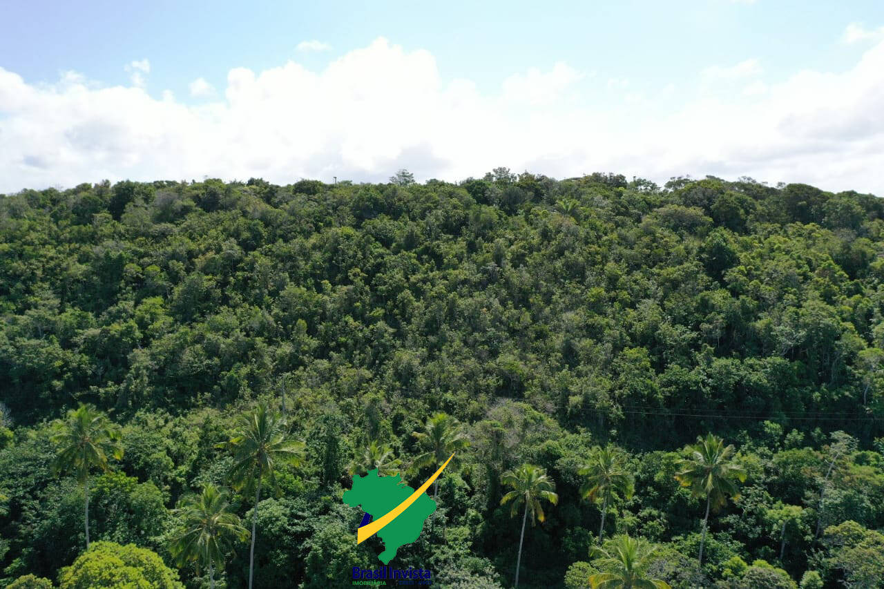 Terreno, 60 hectares - Foto 32