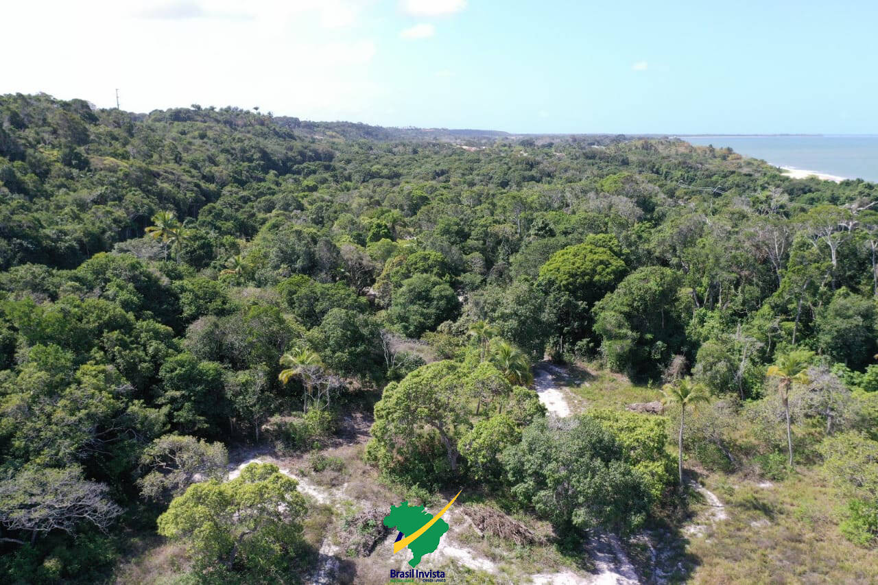 Terreno, 60 hectares - Foto 34