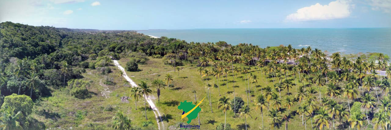 Terreno, 60 hectares - Foto 42