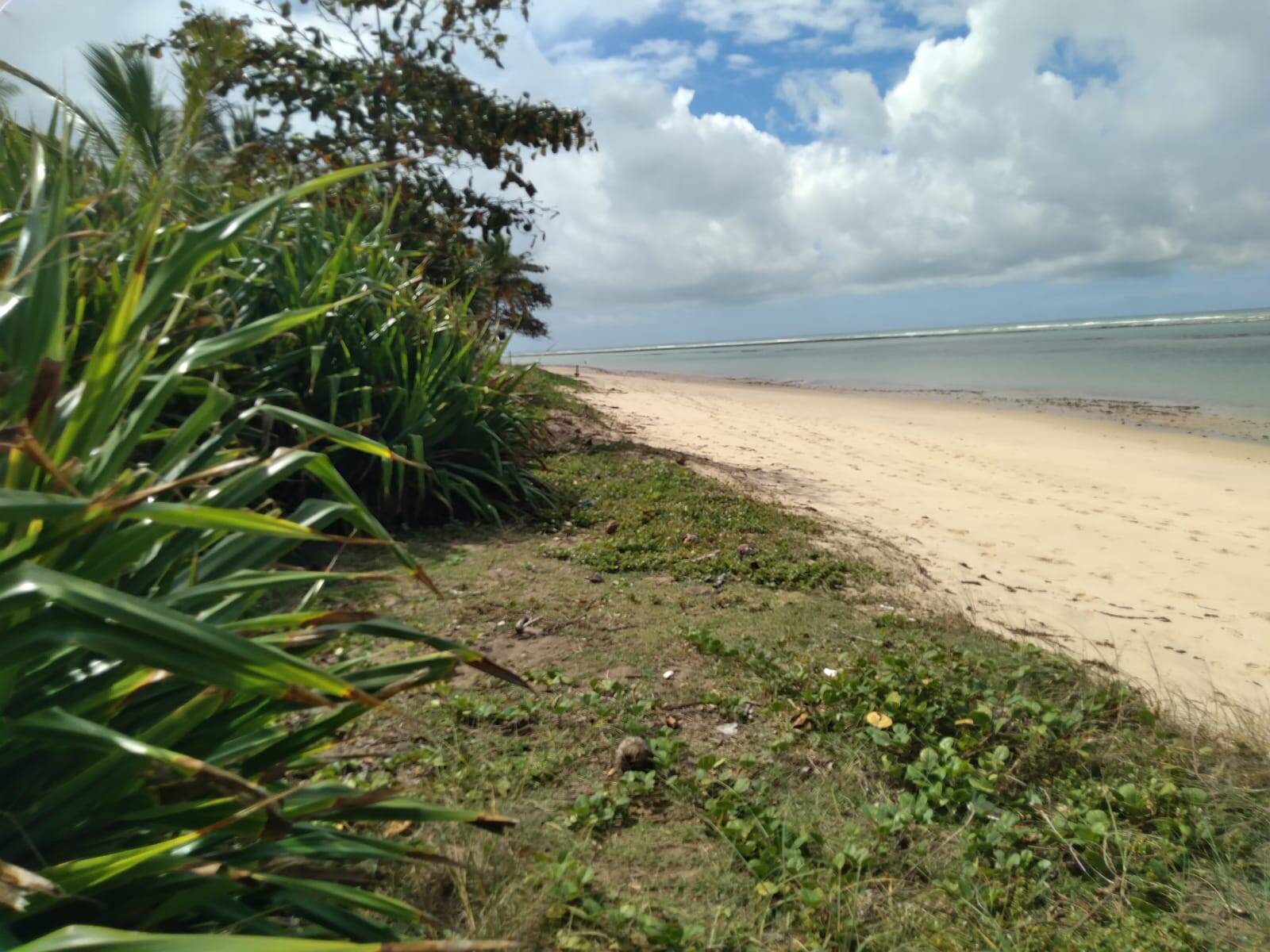 Terreno, 2700 m² - Foto 2