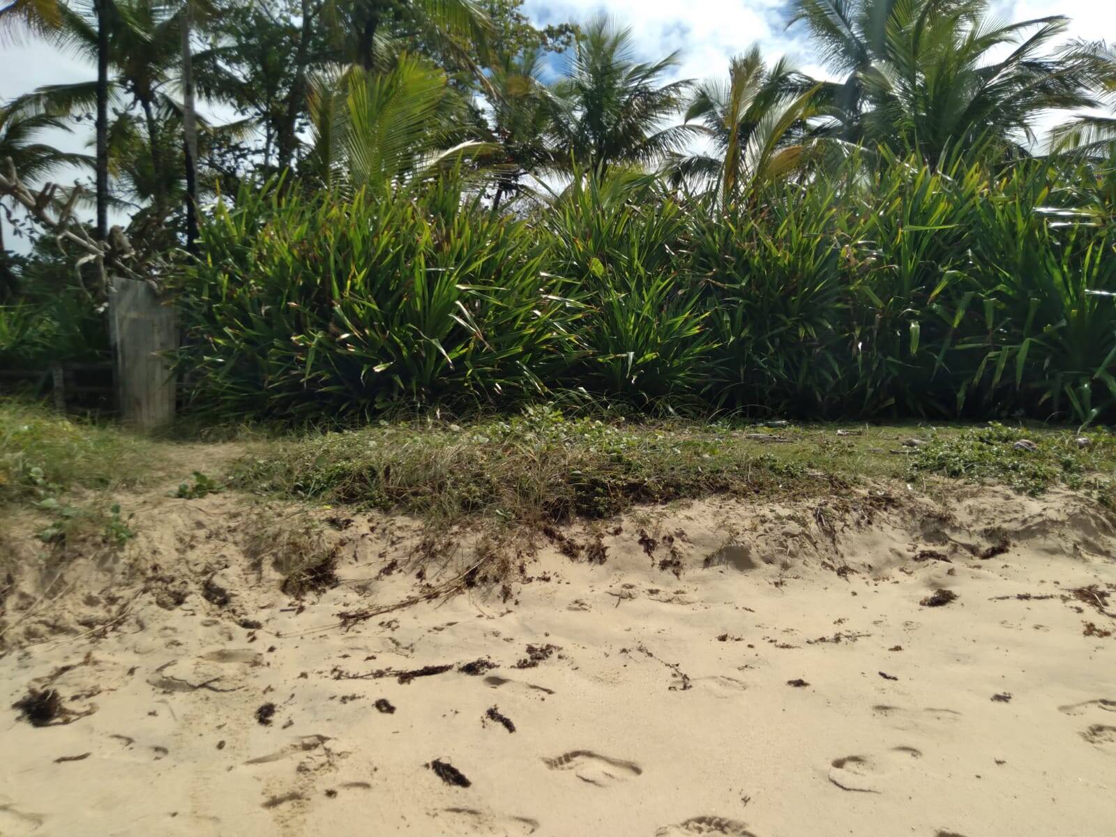 Terreno, 2700 m² - Foto 4