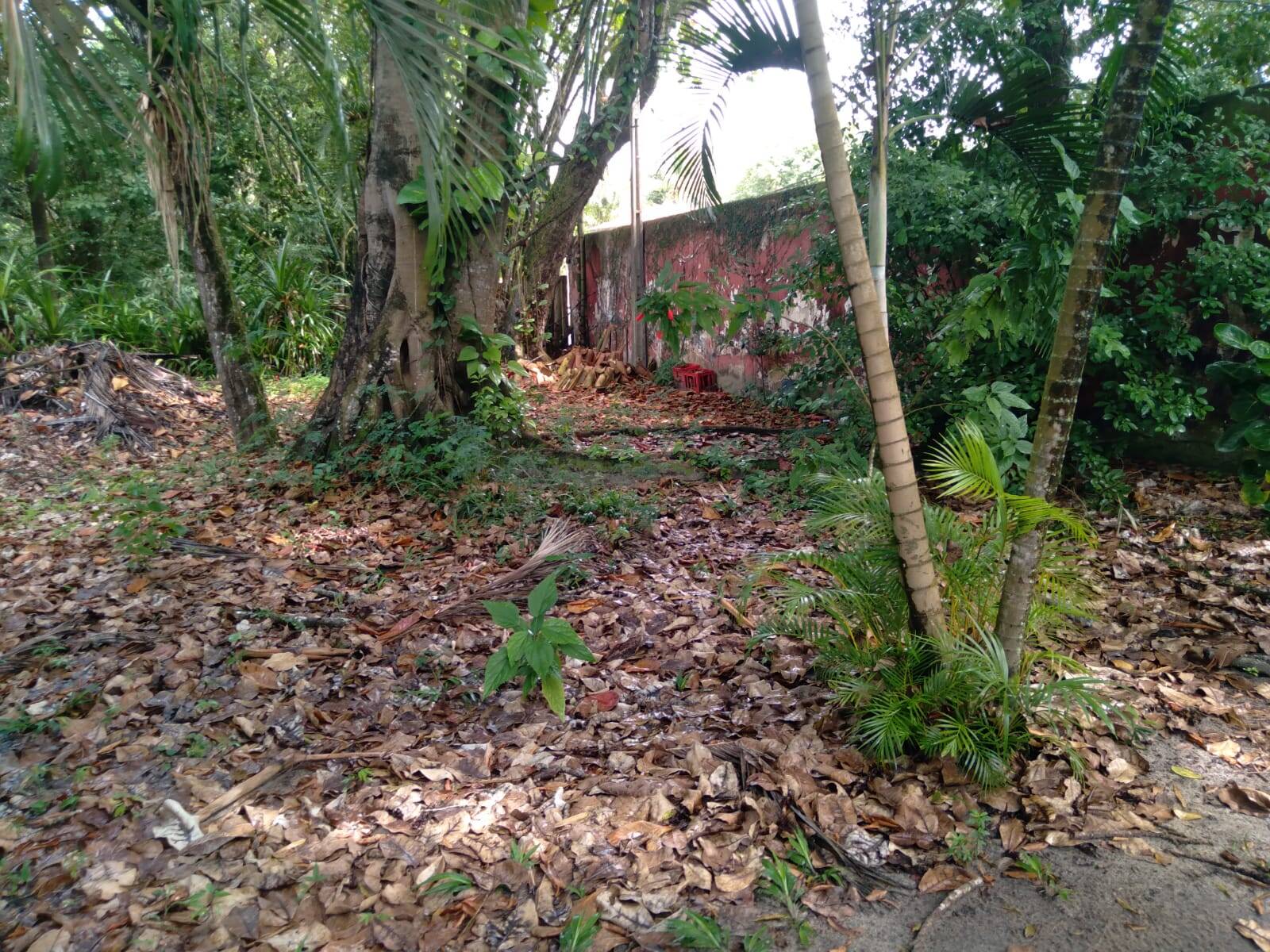 Terreno, 2700 m² - Foto 5