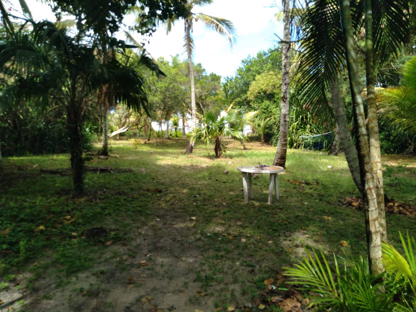 Terreno, 2700 m² - Foto 6