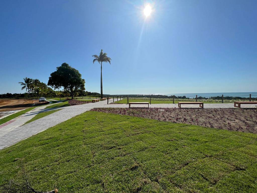 Terreno, 50 hectares - Foto 2