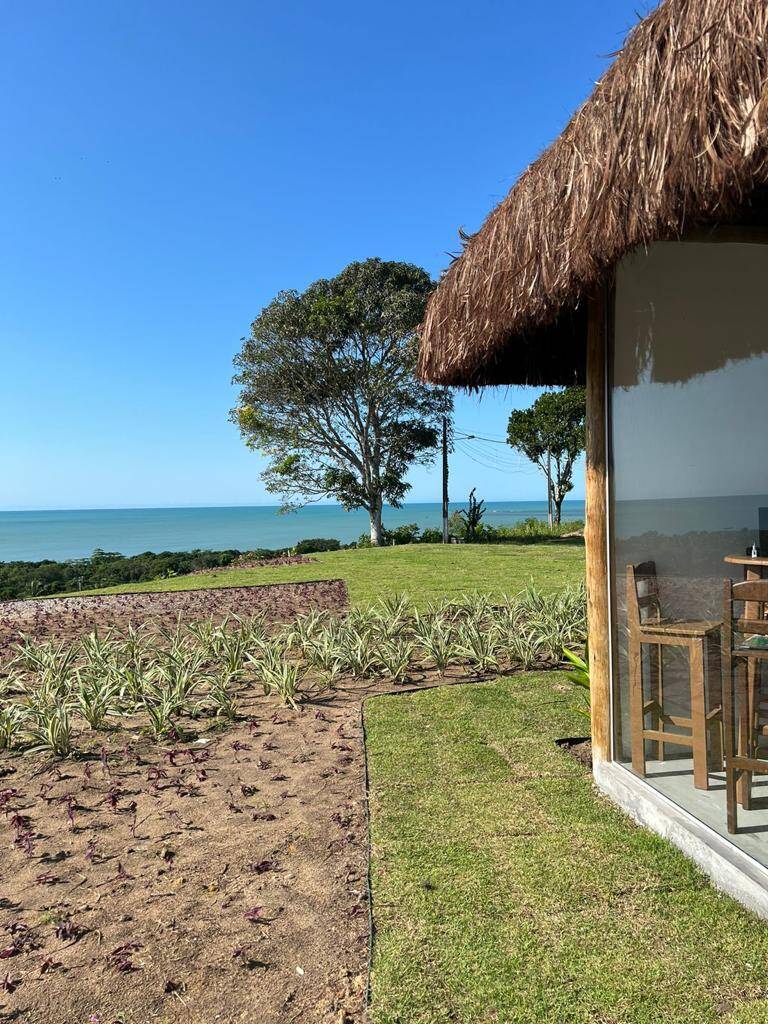 Terreno, 50 hectares - Foto 3