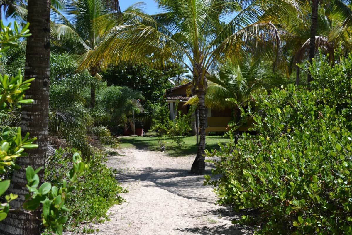 Terreno, 2 hectares - Foto 2