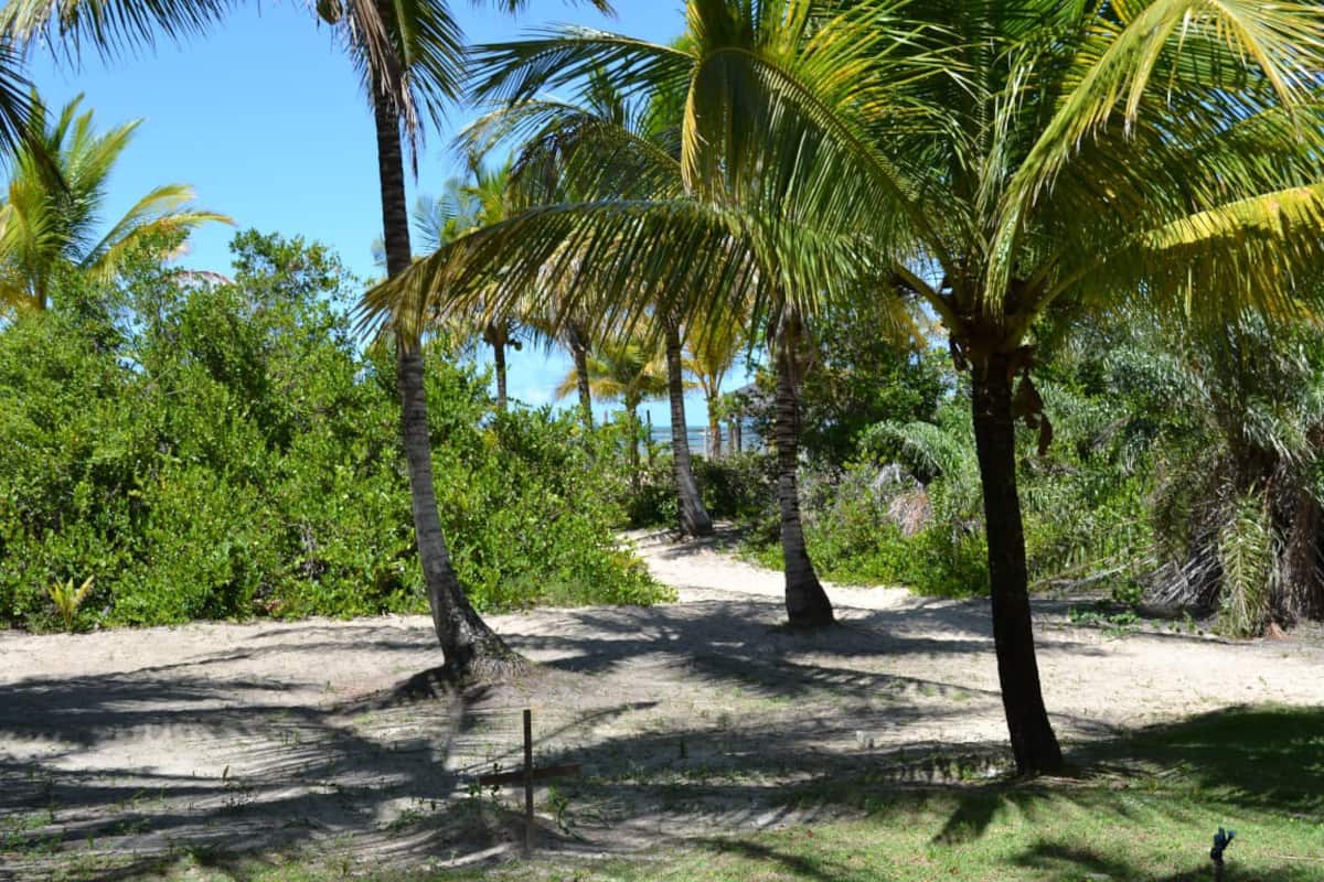 Terreno, 2 hectares - Foto 1