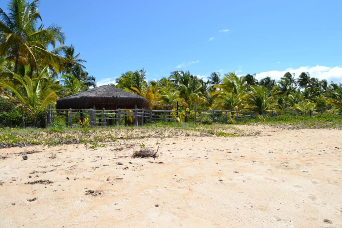 Terreno, 2 hectares - Foto 8