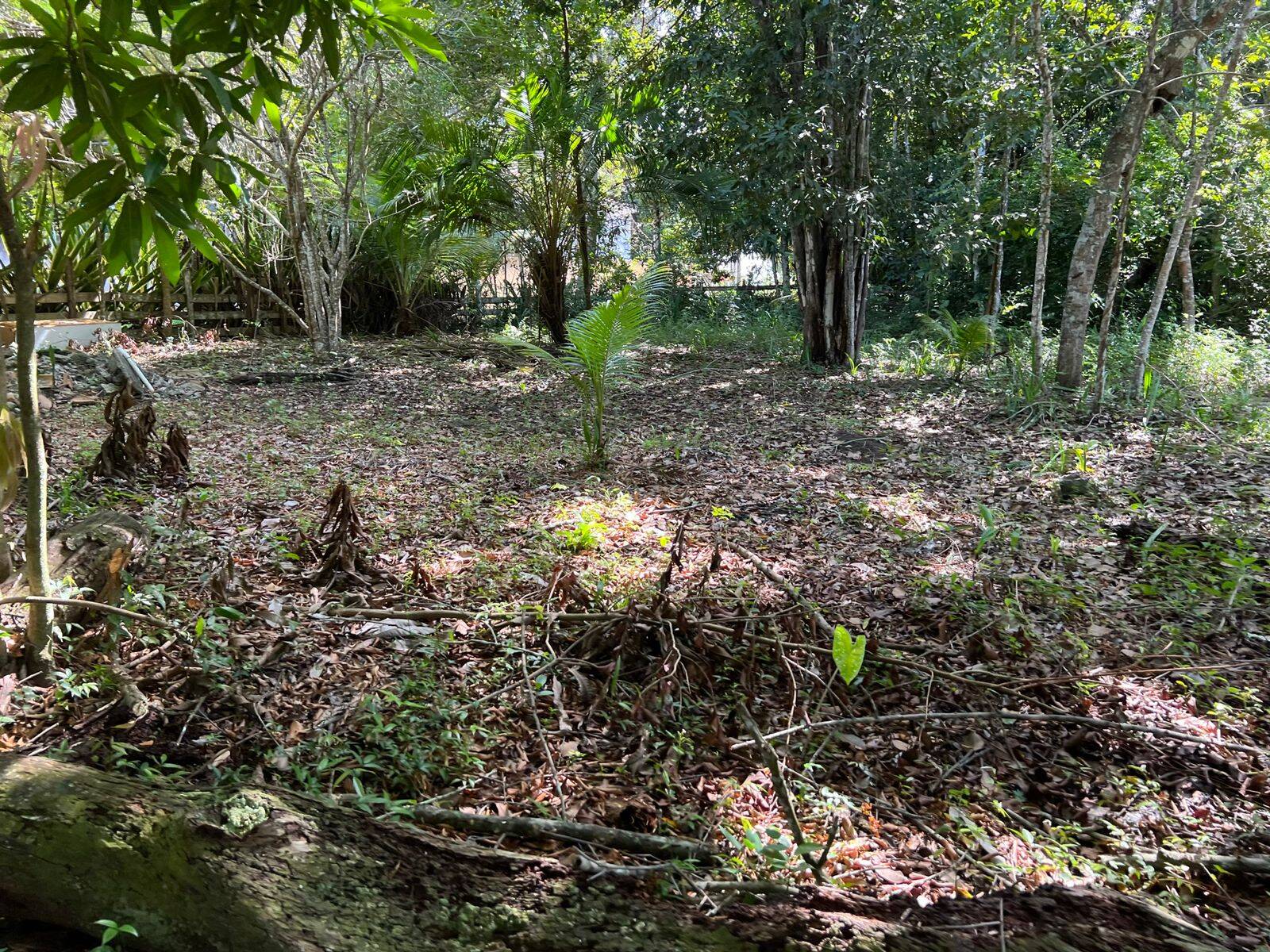 Terreno, 500 m² - Foto 3