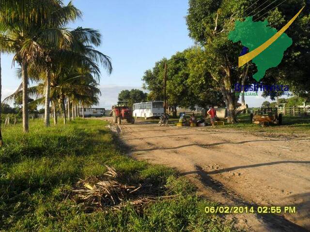 #313 - Fazenda para Venda em Santa Cruz CabrÃ¡lia - BA - 1