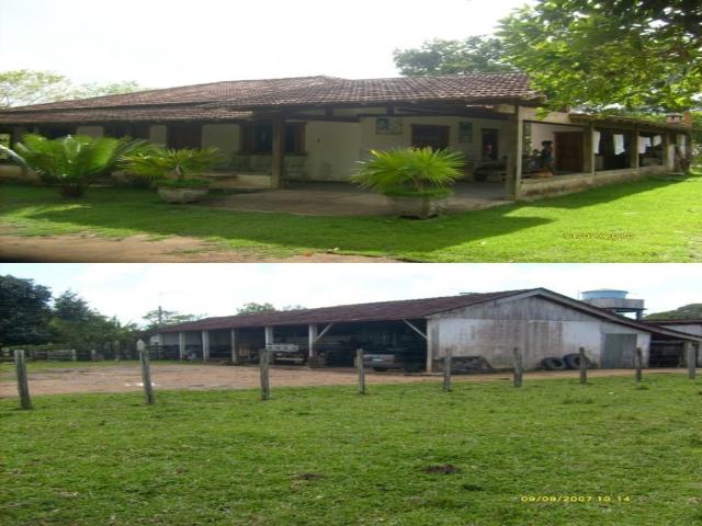 #503 - Fazenda para Venda em Santa Cruz Cabrália - BA - 1