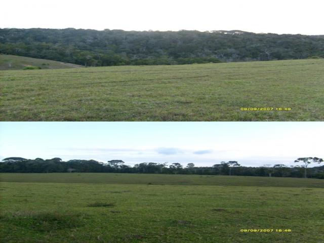 #503 - Fazenda para Venda em Santa Cruz Cabrália - BA - 2