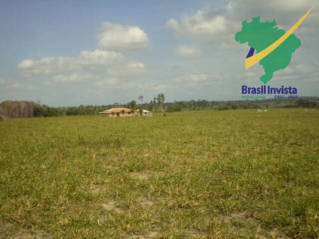#573 - Fazenda para Venda em Buerarema - BA - 2