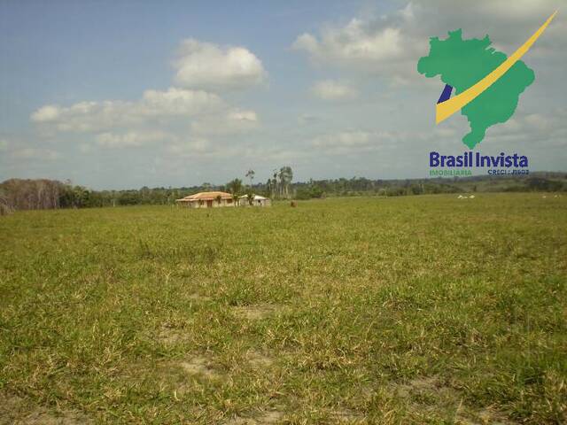 #573 - Fazenda para Venda em Buerarema - BA