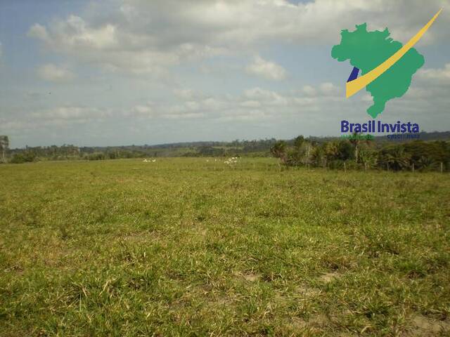 #573 - Fazenda para Venda em Buerarema - BA