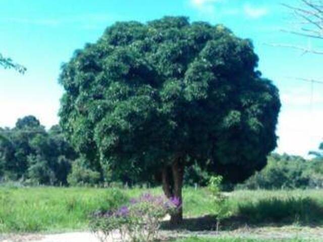 Fazenda para Venda em Porto Seguro - 5