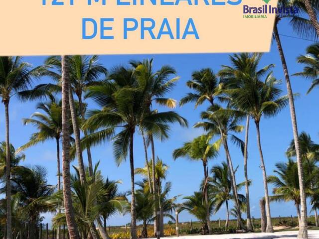 Área para Venda em Santa Cruz Cabrália - 4