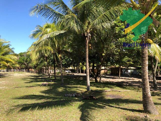 Área para Venda em Santa Cruz Cabrália - 5