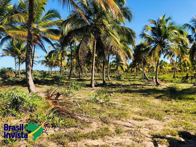 #1028 - Área para Venda em Belmonte - BA - 2