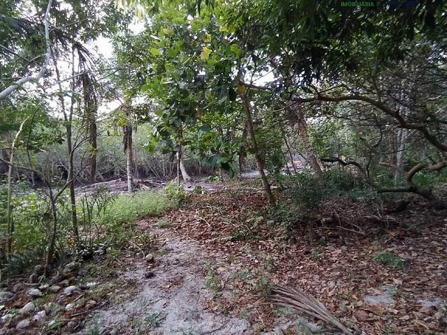 Área para Venda em Porto Seguro - 4