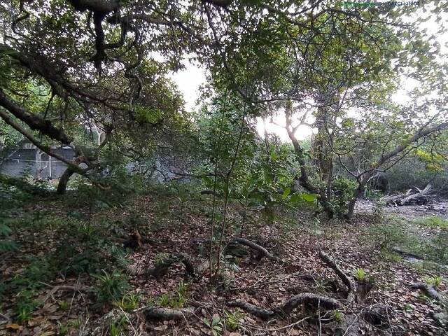 Área para Venda em Porto Seguro - 5