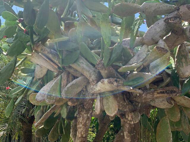 Sala para Venda em Porto Seguro - 4