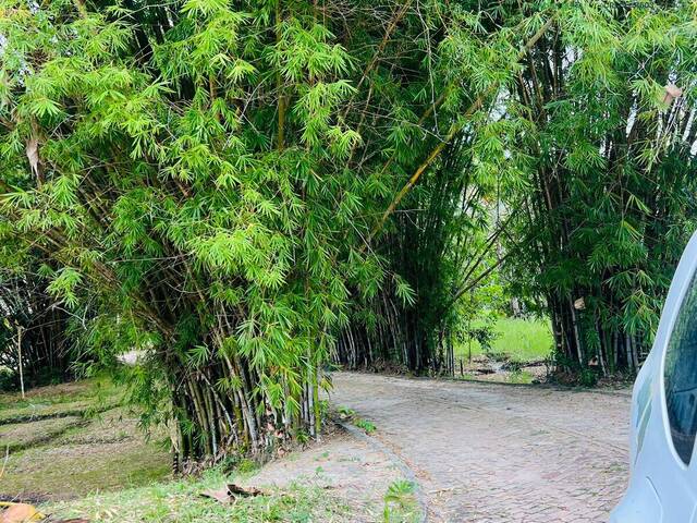 #1371 - Área para Venda em Santa Cruz Cabrália - BA - 2