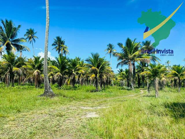 #1381 - Área para Venda em Santa Cruz Cabrália - BA - 2