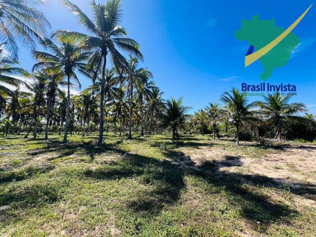 #1381 - Área para Venda em Santa Cruz Cabrália - BA - 3