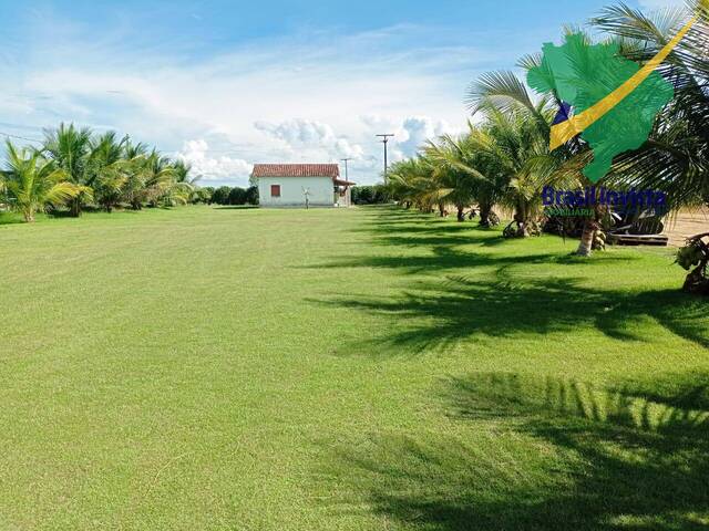 #1442 - Chácara para Venda em Porto Seguro - BA - 2