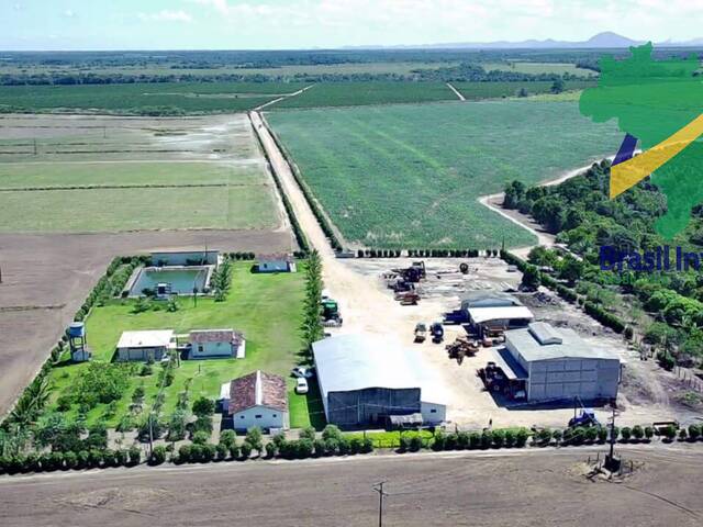 #1442 - Chácara para Venda em Porto Seguro - BA - 1