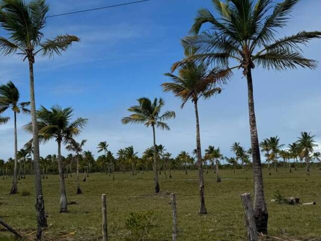 #1491 - Área para Venda em Belmonte - BA - 3