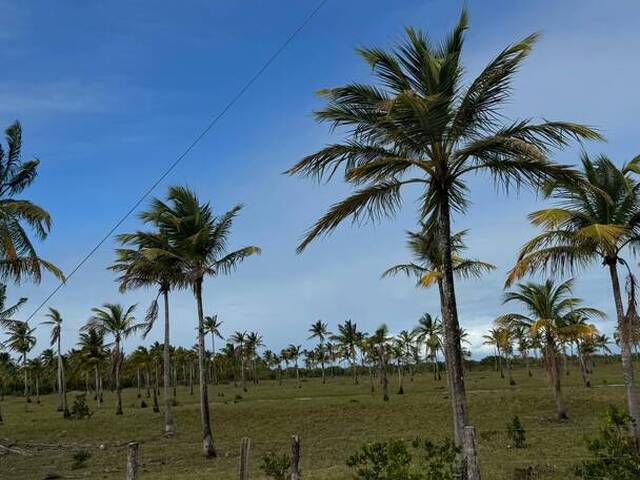 Área para Venda em Belmonte - 4