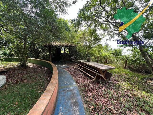 #1497 - Sala para Venda em Porto Seguro - BA - 1
