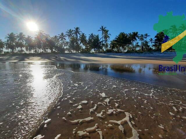 #1534 - Área para Venda em Belmonte - BA